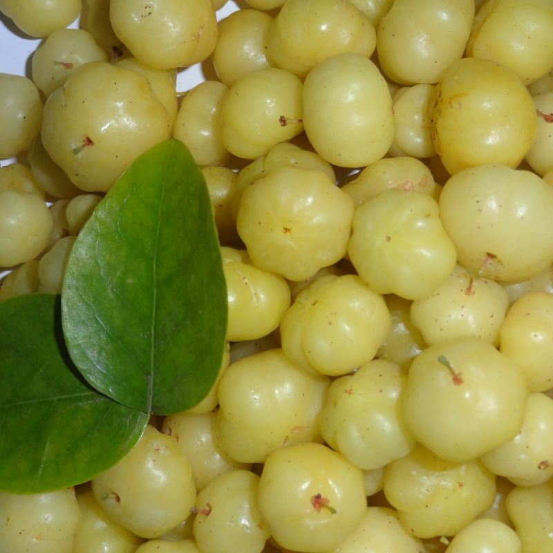 Amla