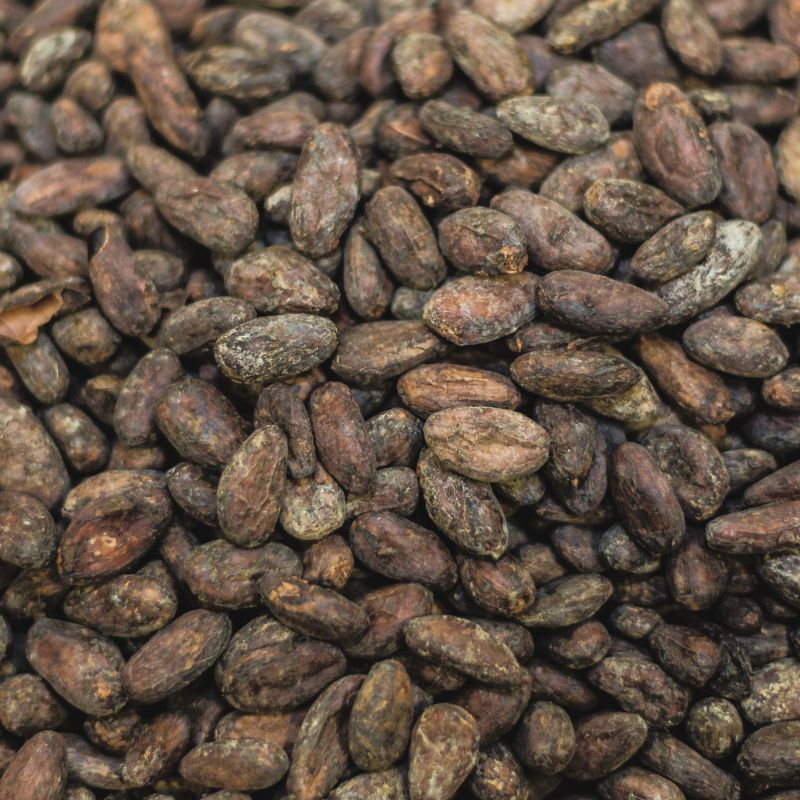 Cacao