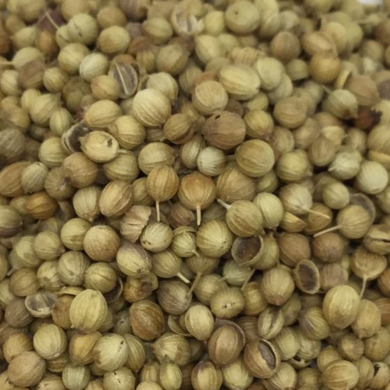 Coriander