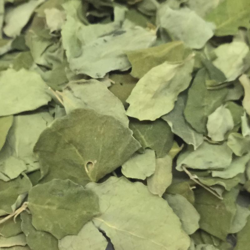 Moringa