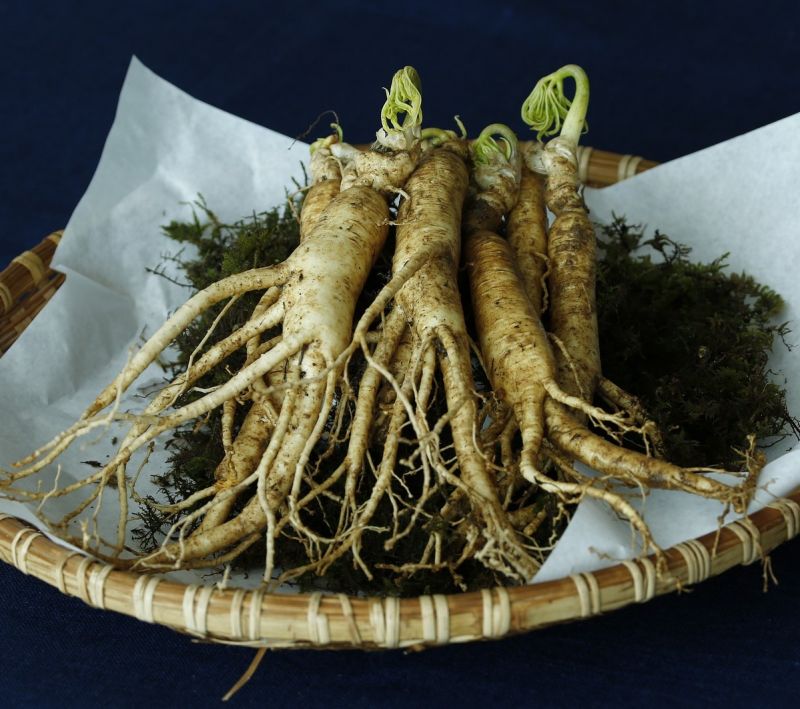 ginseng