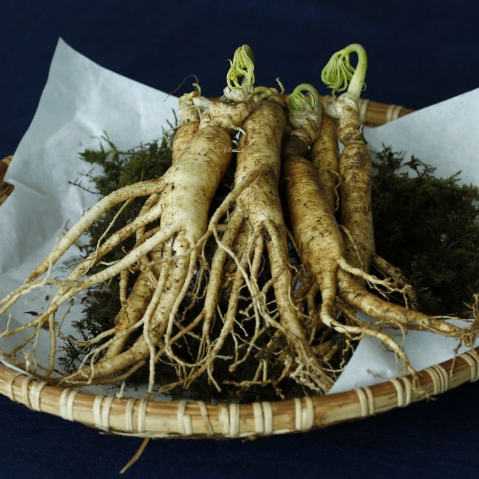 ginseng